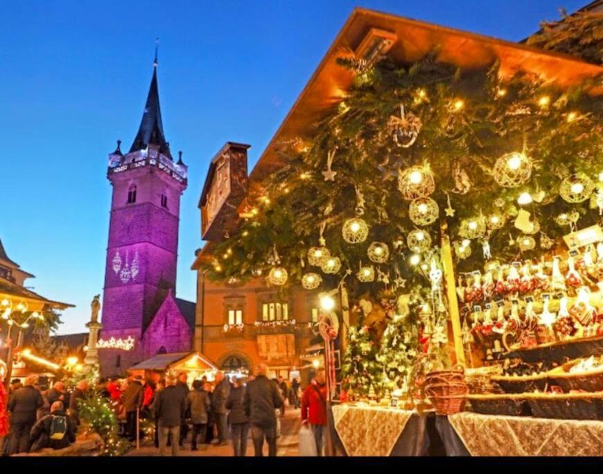 Ferienwohnung L'Appar'T - Centre Historique De Obernai Exterior foto