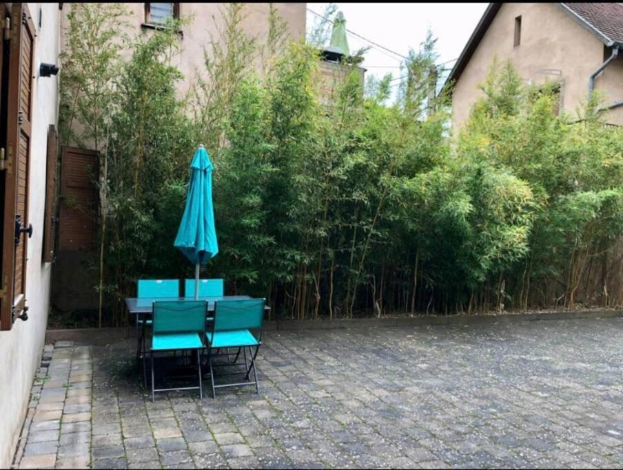 Ferienwohnung L'Appar'T - Centre Historique De Obernai Exterior foto