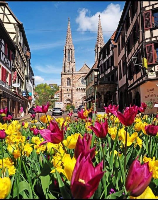 Ferienwohnung L'Appar'T - Centre Historique De Obernai Exterior foto